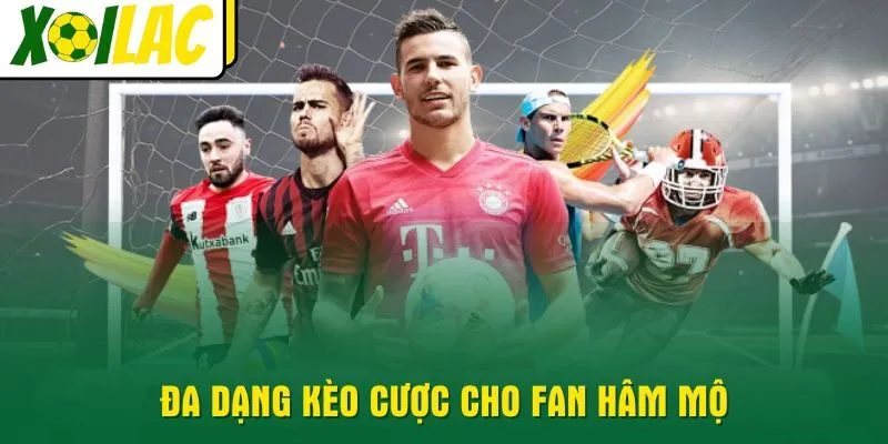 da-dang-keo-cuoc-cho-fan-ham-mo