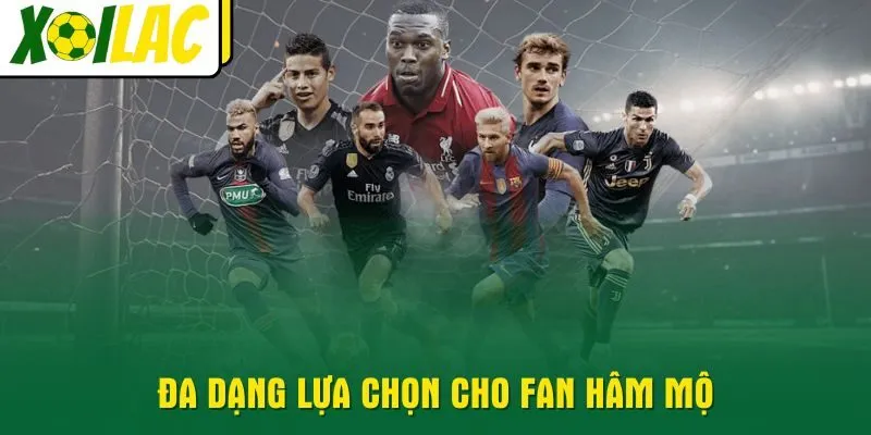 da-dang-lua-chon-cho-fan-ham-mo