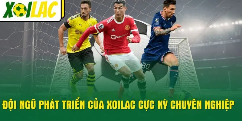 doi-ngu-phat-trien-cua-xoilac-cuc-ky-chuyen-nghiep