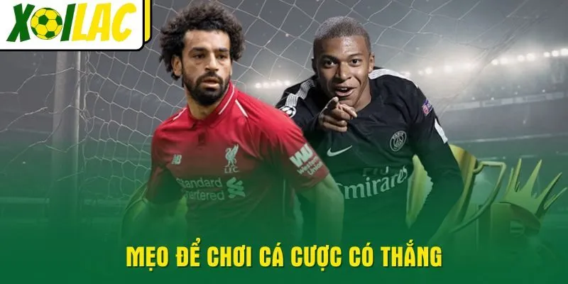 meo-de-choi-ca-cuoc-co-thang