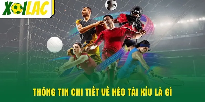 thong-tin-chi-tiet-ve-keo-tai-xiu-la-gi