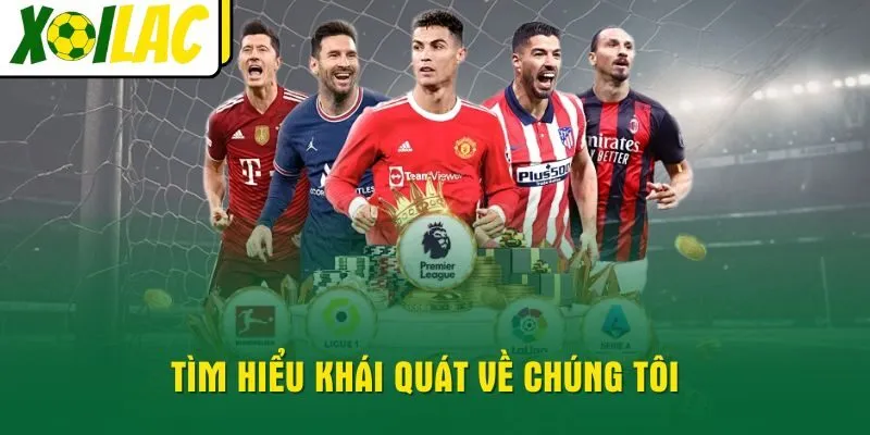 tim-hieu-khai-quat-ve-chung-toi