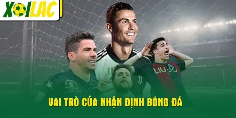 vai-tro-cua-nhan-dinh-bong-da